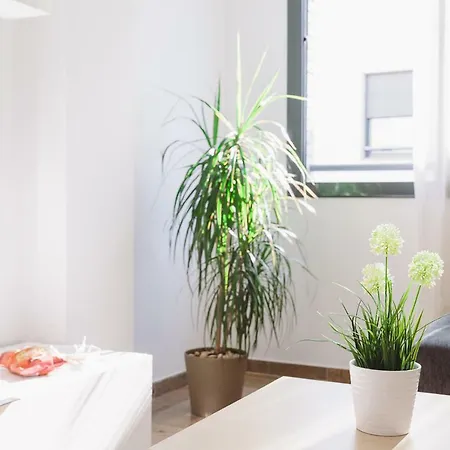 Fenals Beach Apartment